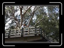 IMG_1607 * 900 x 644 * (300KB)
