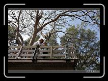 IMG_1608 * 900 x 644 * (299KB)