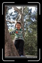 IMG_1613 * 600 x 966 * (299KB)