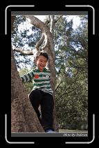IMG_1614 * 600 x 966 * (286KB)