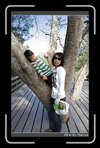IMG_1622 * 600 x 966 * (291KB)