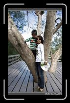 IMG_1623 * 600 x 966 * (291KB)