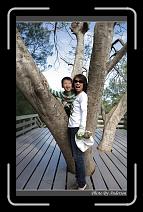 IMG_1625 * 600 x 966 * (292KB)