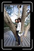 IMG_1626 * 600 x 966 * (292KB)