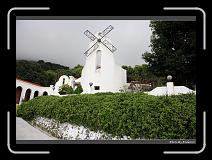 IMG_1633 * 900 x 644 * (298KB)