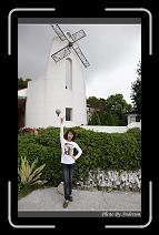 IMG_1634 * 600 x 966 * (299KB)