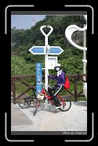 IMG_1699 * 600 x 966 * (287KB)