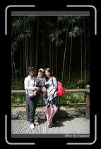 IMG_1706 * 600 x 966 * (293KB)