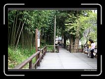 IMG_1711 * 900 x 644 * (296KB)