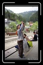 IMG_1717 * 600 x 966 * (291KB)