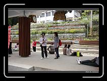 IMG_1719 * 900 x 644 * (290KB)