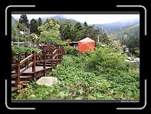IMG_1737 * 900 x 644 * (298KB)
