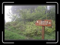 IMG_1774 * 900 x 644 * (292KB)