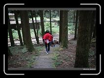 IMG_1777 * 900 x 644 * (281KB)