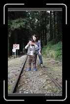 IMG_1779 * 600 x 966 * (295KB)