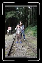IMG_1780 * 600 x 966 * (282KB)