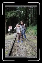 IMG_1781 * 600 x 966 * (282KB)