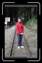 IMG_1783 * 600 x 966 * (299KB)