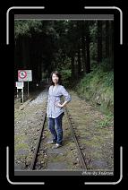 IMG_1787 * 600 x 966 * (294KB)