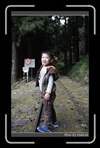 IMG_1788 * 600 x 966 * (284KB)