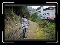 IMG_1799 * 900 x 644 * (293KB)