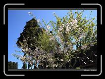 IMG_1823 * 900 x 644 * (297KB)