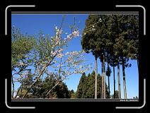 IMG_1824 * 900 x 644 * (291KB)