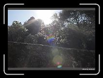 IMG_1826 * 900 x 644 * (277KB)