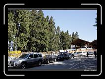 IMG_1828 * 900 x 644 * (288KB)