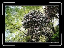 IMG_1830 * 900 x 644 * (295KB)