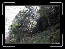 IMG_1832 * 900 x 644 * (298KB)