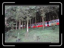 IMG_1836 * 900 x 644 * (292KB)