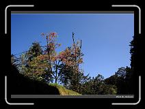 IMG_1837 * 900 x 644 * (288KB)