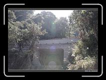 IMG_1839 * 900 x 644 * (300KB)