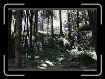 IMG_1844 * 900 x 644 * (295KB)