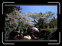 IMG_1845 * 900 x 644 * (293KB)