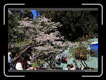 IMG_1847 * 900 x 644 * (296KB)