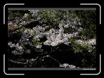 IMG_1857 * 900 x 644 * (293KB)