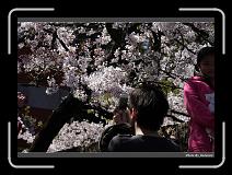 IMG_1868 * 900 x 644 * (294KB)