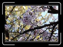 IMG_1869 * 900 x 644 * (279KB)