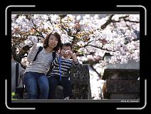 IMG_1874 * 900 x 644 * (286KB)