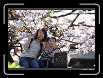 IMG_1877 * 900 x 644 * (292KB)