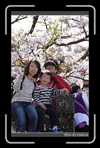 IMG_1882 * 600 x 966 * (295KB)