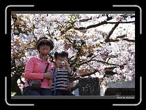 IMG_1886 * 900 x 644 * (286KB)