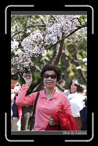 IMG_1894 * 600 x 966 * (277KB)