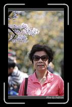IMG_1896 * 600 x 966 * (270KB)