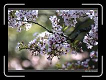 IMG_1899 * 900 x 644 * (261KB)