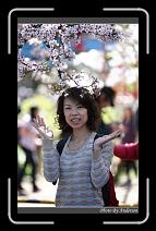 IMG_1903 * 600 x 966 * (287KB)