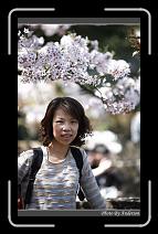 IMG_1910 * 600 x 966 * (283KB)