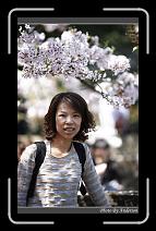 IMG_1911 * 600 x 966 * (286KB)